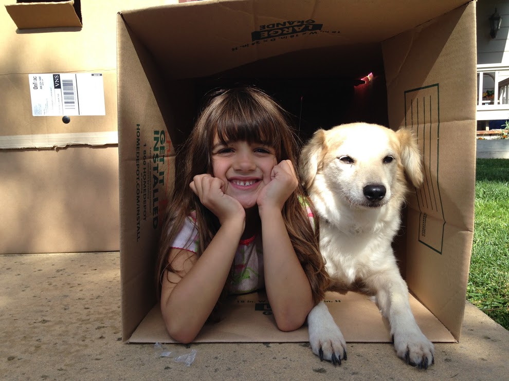 Picture of entry to box fort with daughter and dog.