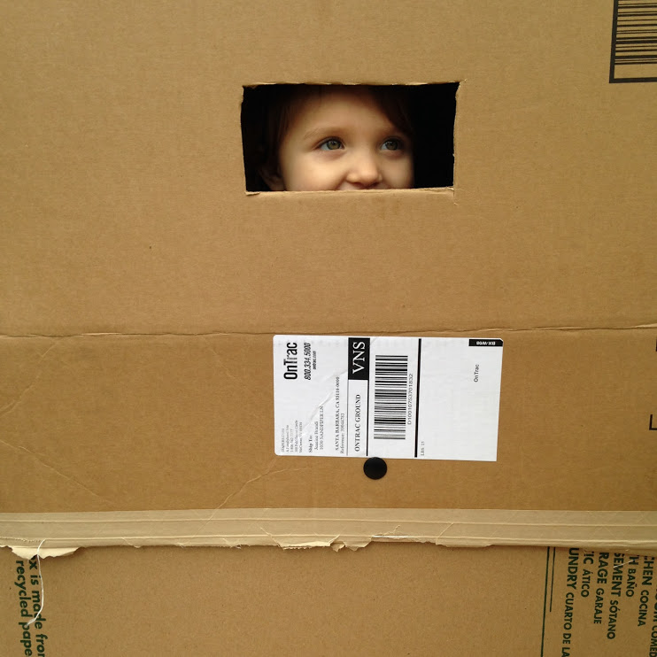 Picture of daughter looking through small portal in box fort.