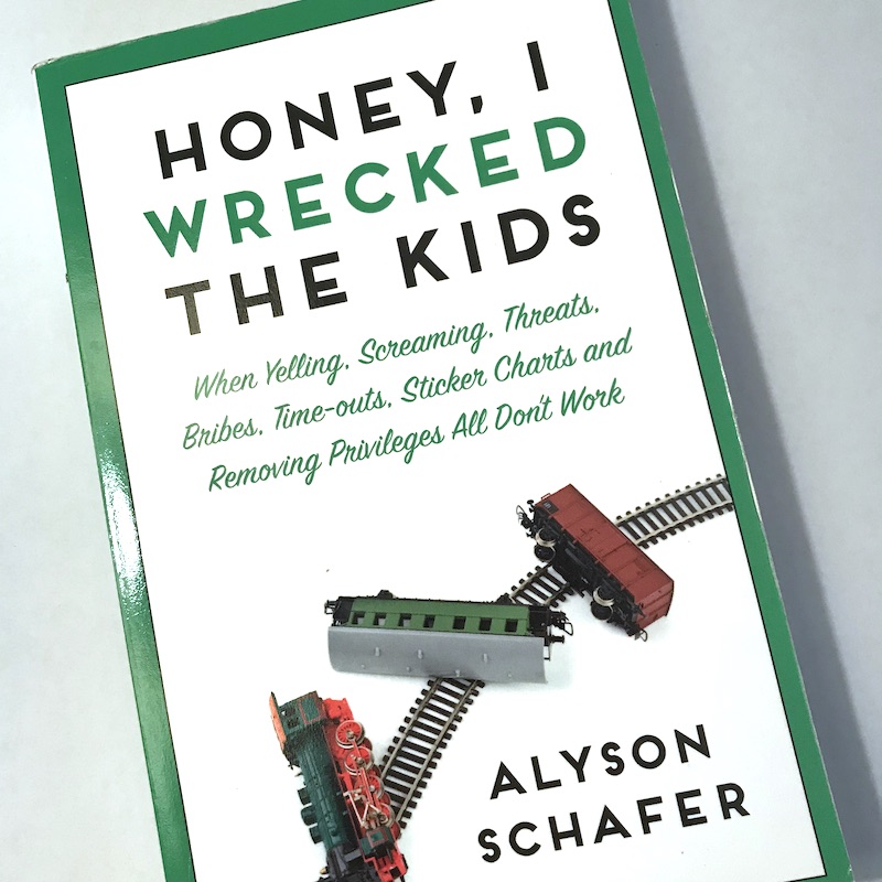 Image of the book Honey I Wrecked the Kids.