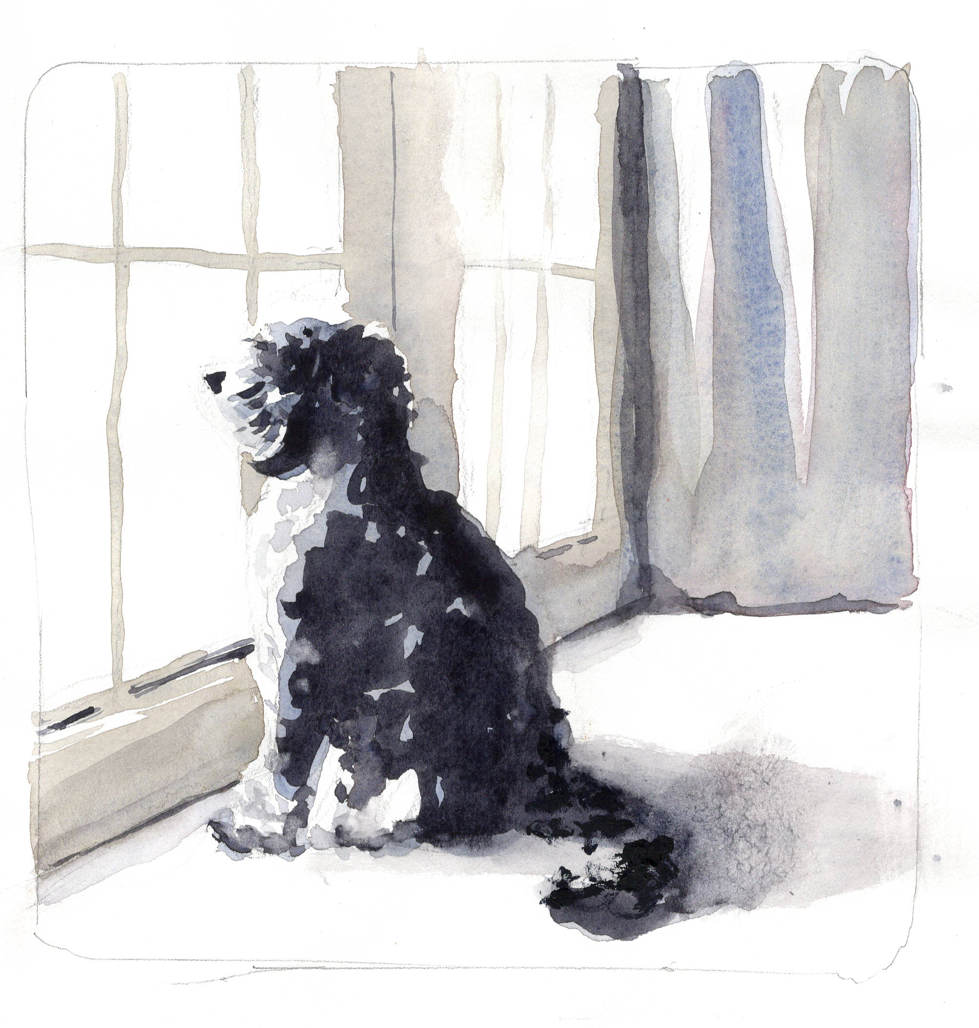 watercolor of a dog looking out the window by Mark Mclychok